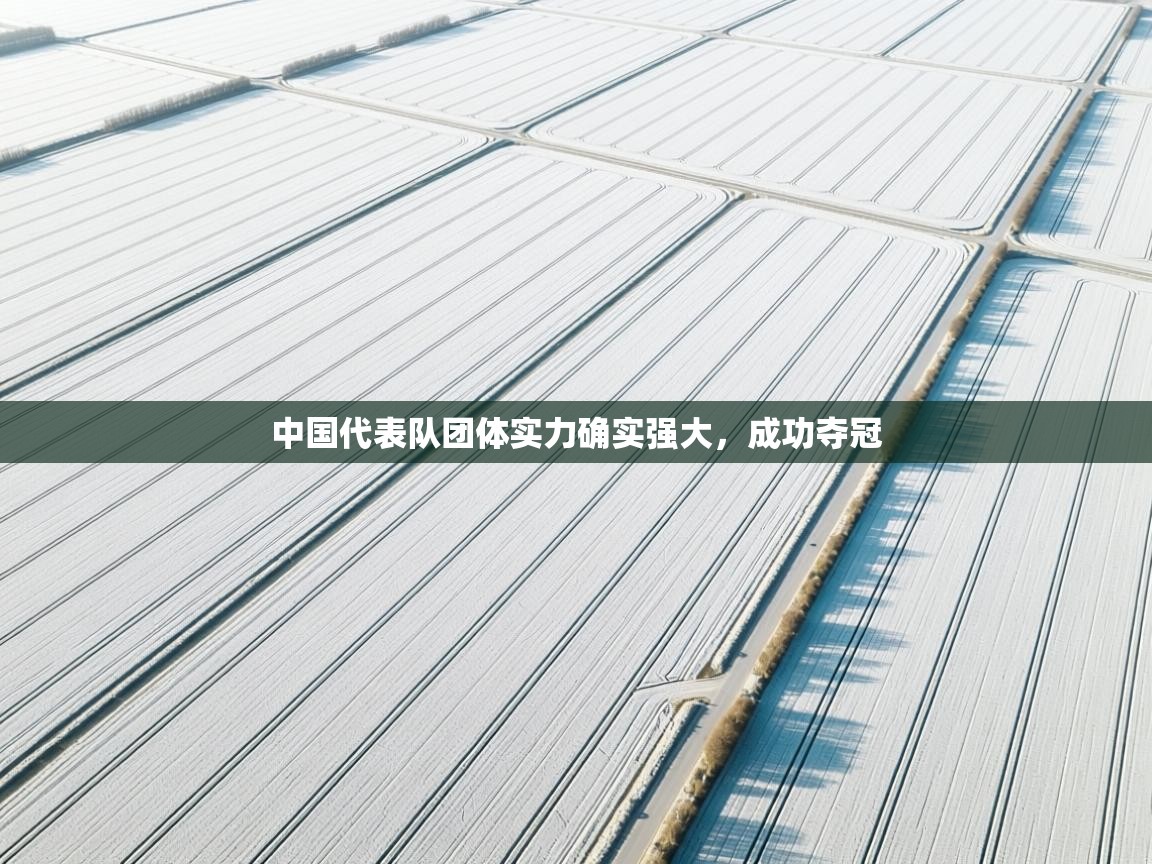 中国代表队团体实力确实强大,成功夺冠 第1张