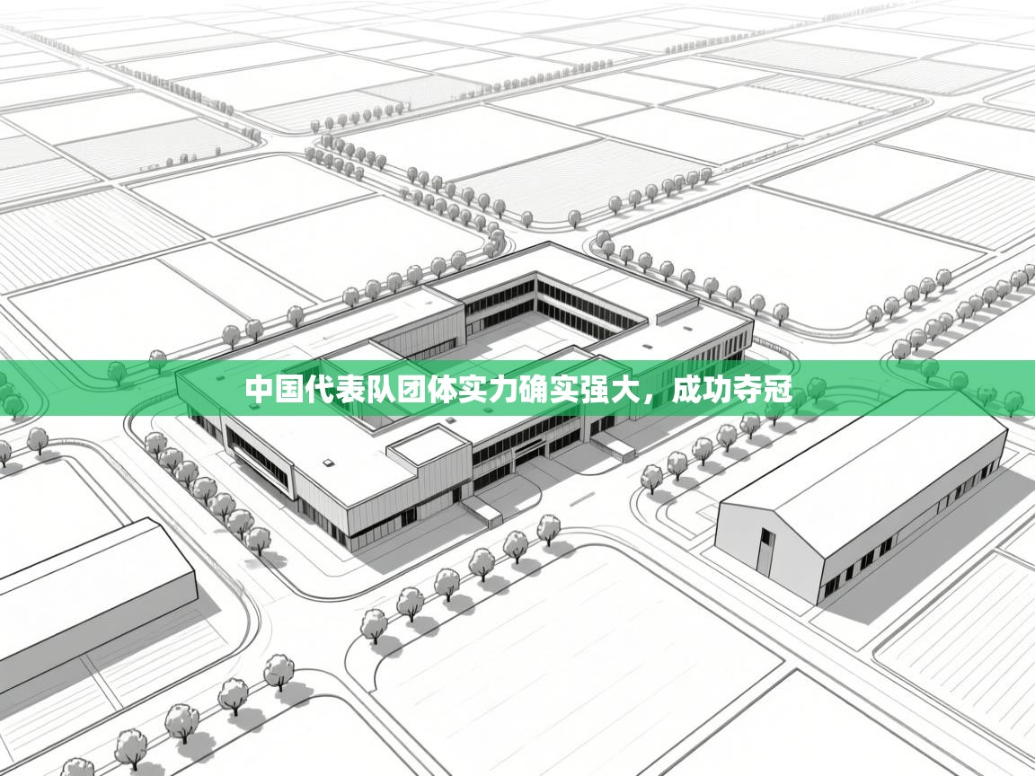 中国代表队团体实力确实强大,成功夺冠 第2张